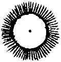 [picture: Astrological symbols for Sunday: Planetary Sign for the Sun]