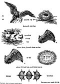55.—As an eagle stirreth up her nest, fluttereth over her young,...