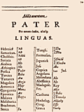 70: Additamentm: Pater Per omnes hasce, aliasq; Linguas.