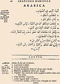 16: Arabica