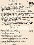 27: Malabarica