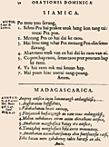 32: Siamica, Madagascarica