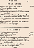 39: Berriensis, Valachica