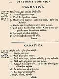 40: Dalmatica, Croatica