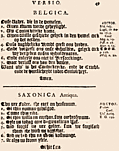 49: Belgica, Saxonica