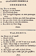 52: Cornubica, Waldensi