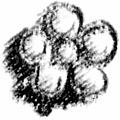 [picture: Typographical ornament or printer's flower]