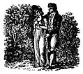[picture: 168.---Lovers in the bushes.]
