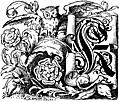 [picture: Decorative initial ``K'' on scroll with owl and roses]