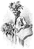 [picture: Gardener's Boy]