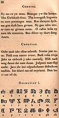[picture: Page 48: Cornish; Croatian; Dalmation]