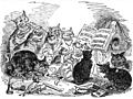 Cats