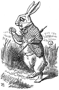 The White Rabbit