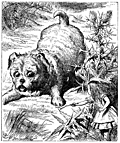 [picture: An enormous puppy]