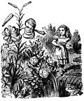 Alice in the Garden of Live Flowers