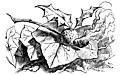 [picture: Snap-dragon fly]