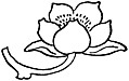 [picture: typographic ornament: flower pointing right]