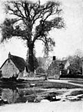 Two Little Homes---Biddestone