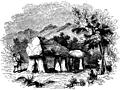 40.---Cromlech at Plas Newydd, Anglesey