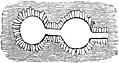53.---Plan of Chambers on a Farm twelve miles from Ballyhendon