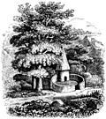 55.---Welsh Pigsty.