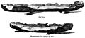 57.---Ancient British Canoes.