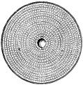 66.---Shield in the Meyrick Collection