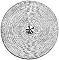 67.---Circular British Shield.