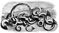 69.---Group of Ring Coins.