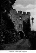 Trematon Castle: The Gate-house