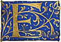 Letter ``E'' from 16th century book of hours