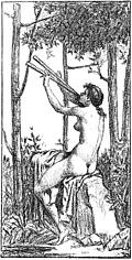 [picture: Charmeuse D'Oiseaux]