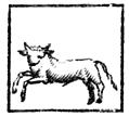 Taurus (the Bull)