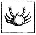 Cancer (the Crab)