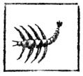 Scorpio (the Scorpion)