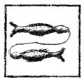 [picture: Pisces (the fish, or two fishes)]