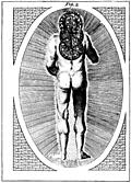 A View of Man in his Primeval State as invested With power by his Creator to rule & Govern gross Elements (Fig. 2 of 2)