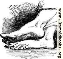 Bare Feet of God, from p. 69