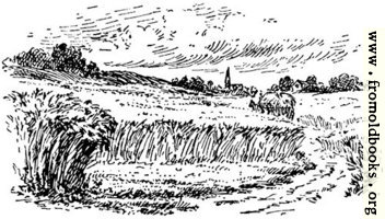 The field, from p. 69