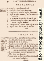 36: Catalanica, Hispanica