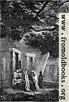 Sacrificial Rites of the Ancient British Druids