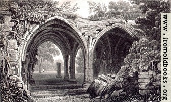 Plate 53.—Remains of the Cloisters of Margam Abbey, Glamorganshire.