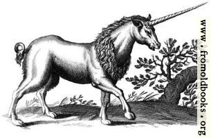 Unicorn with Mane (another one)