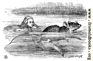 Alice swimming near a mouse