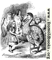 Alice and the Dodo