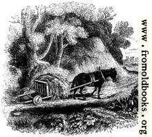 74.—Welsh Agricultural Cart