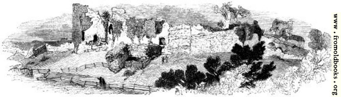 105.—General View of the Ruin of Pevensey Castle.