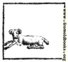 Aries (the Ram, or Sheep)