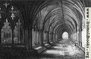 Plate XXV. The Cloisters, Norwich Cathedral.