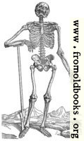 163. Skeleton with Shovel
